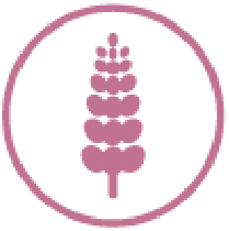 Logo Niet opgegeven: lupine